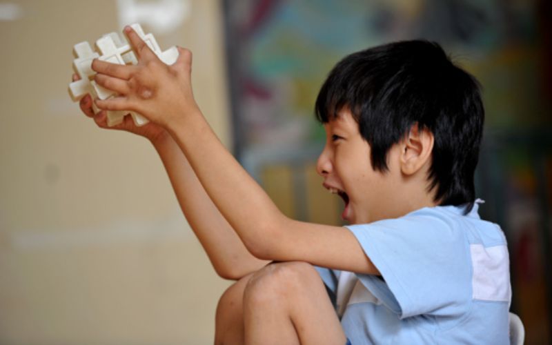Khuyết tật trí tuệ